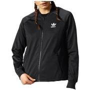 Svetari adidas  Originals Info Poster Superstar  EU S