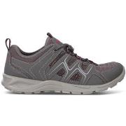 Kengät Ecco  Terracruise LT  42