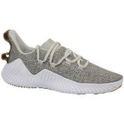 Kengät adidas  Alphabounce Trainer  41 1/3