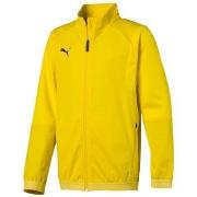 Svetari Puma  Liga Training Jacket  EU M