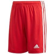 7/8 ja 3/4 housu adidas  JR Squadra 21  EU S