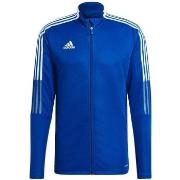 Svetari adidas  Tiro 21  EU XL