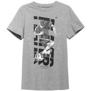 Lyhythihainen t-paita 4F  H4L21 TSM011  EU M