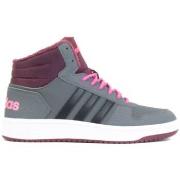 Lastenkengät adidas  Hoops Mid 20 K  29