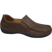 Kengät Discovery  DSL1178805  41