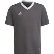 Lyhythihainen t-paita adidas  Entrada 22 Jsy  EU S