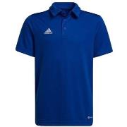 Lyhythihainen t-paita adidas  Entrada 22  EU S