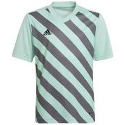 Lyhythihainen t-paita adidas  Entrada 22 Graphic Jersey  EU XXS