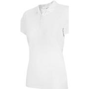 Lyhythihainen t-paita 4F  TSD355  EU XXL