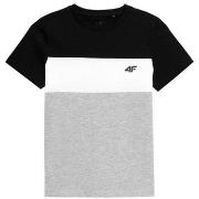 Lyhythihainen t-paita 4F  JTSM007  Yksi Koko