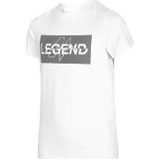 Lyhythihainen t-paita 4F  JTSM005  Yksi Koko