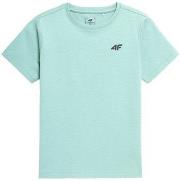 Lyhythihainen t-paita 4F  JTSM001  Yksi Koko