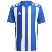Lyhythihainen t-paita adidas  Striped 21  EU S