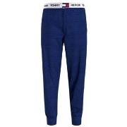 Housut Tommy Hilfiger  UM0UM01769C7L  EU L