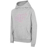 Svetari 4F  JBLD002  Yksi Koko