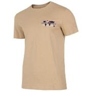 Lyhythihainen t-paita 4F  TSM030  EU XXL