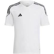 Lyhythihainen t-paita adidas  Tiro 23 League JR  EU XS