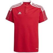 Lyhythihainen t-paita adidas  Tiro 21 Polo  EU M