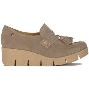 Kengät Maciejka  0606104001  37