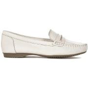 Kengät Marco Tozzi  24225100  37