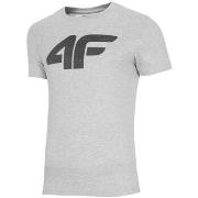 Lyhythihainen t-paita 4F  SS23TTSHM537CHODNYJASNYSZARYMELAN  EU L