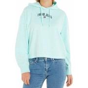 Svetari Tommy Hilfiger  Tommy Jeans Hoodie  EU M