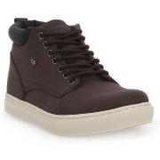 Kengät British Knights  Wood  43