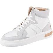 Kengät Camel Active  24131020C29  37