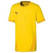 Lyhythihainen t-paita Puma  Teamgoal 23 Jersey  EU XXL