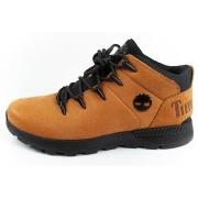 Kengät Timberland  TB0A2FEP231  44
