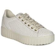 Kengät IgI&CO  5666011  36