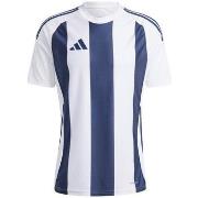 Lyhythihainen t-paita adidas  Striped 24  EU XXL