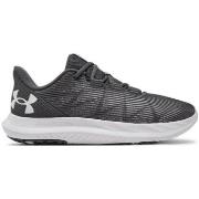 Kengät Under Armour  BUTYUACHARGEDSPEEDSWIFT30269991059  42 1/2
