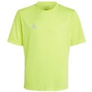 Lyhythihainen t-paita adidas  IB4936  EU S