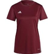 Lyhythihainen t-paita adidas  IB4930  EU XXL