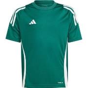 Lyhythihainen t-paita adidas  IS1028  EU S