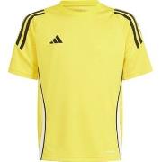 Lyhythihainen t-paita adidas  IS1027  EU S