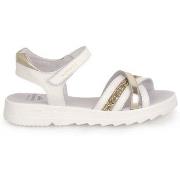 Poikien sandaalit NeroGiardini  432972707W  38