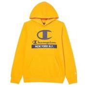 Svetari Champion  Hooded Sweatshirt  EU XXL