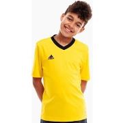 Lyhythihainen t-paita adidas  Entrada 22  EU S