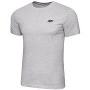 Lyhythihainen t-paita 4F  M2256  EU XXL