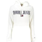 Svetari Tommy Hilfiger  dw0dw14927  EU L