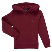 Svetari Polo Ralph Lauren  LS PO HOOD  8 Jahre