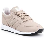 Kengät adidas  Forest Grove  36