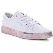 Kengät DC Shoes  ADJS300295PPF  37