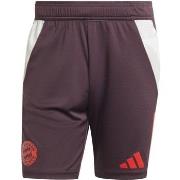 Shortsit & Bermuda-shortsit adidas  IS9949  EU XXL