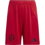Shortsit & Bermuda-shortsit adidas  Fcb H  EU XL