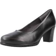 Korkokengät Pitillos  100P  37