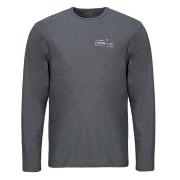 Svetari Patagonia  Mens Light Weight Unity Fitz Wildrise Crew  EU XXL
