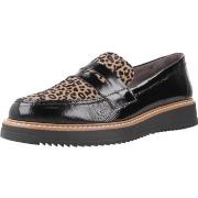 Kengät Pitillos  10762P  36